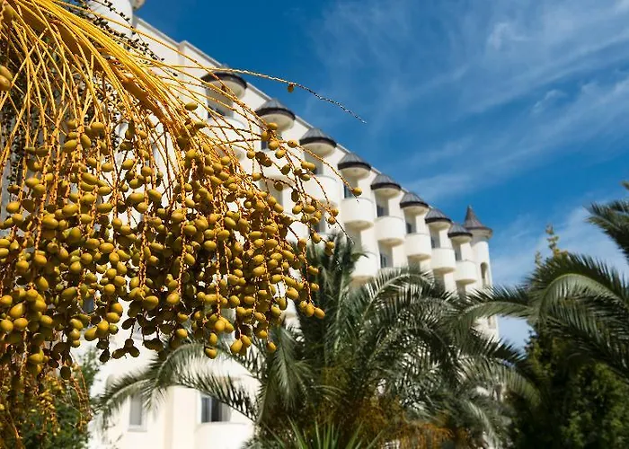 Alinn Boutique (adults Only) 4* 사리게르메