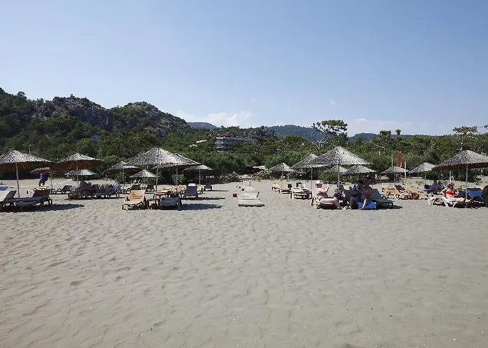 Alinn Boutique (adults Only) 사리게르메